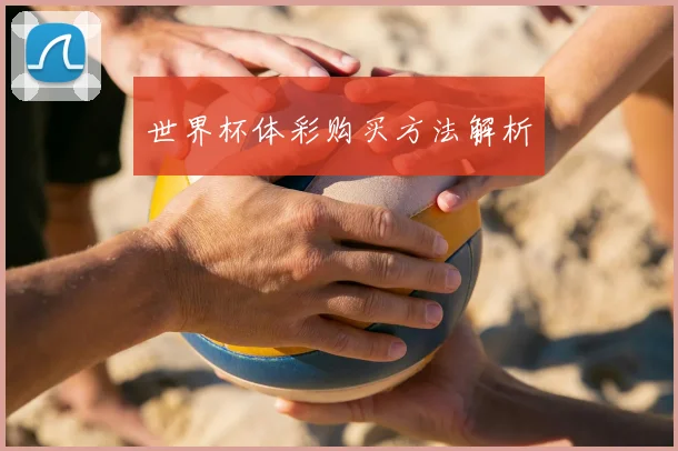 世界杯体彩购买方法解析